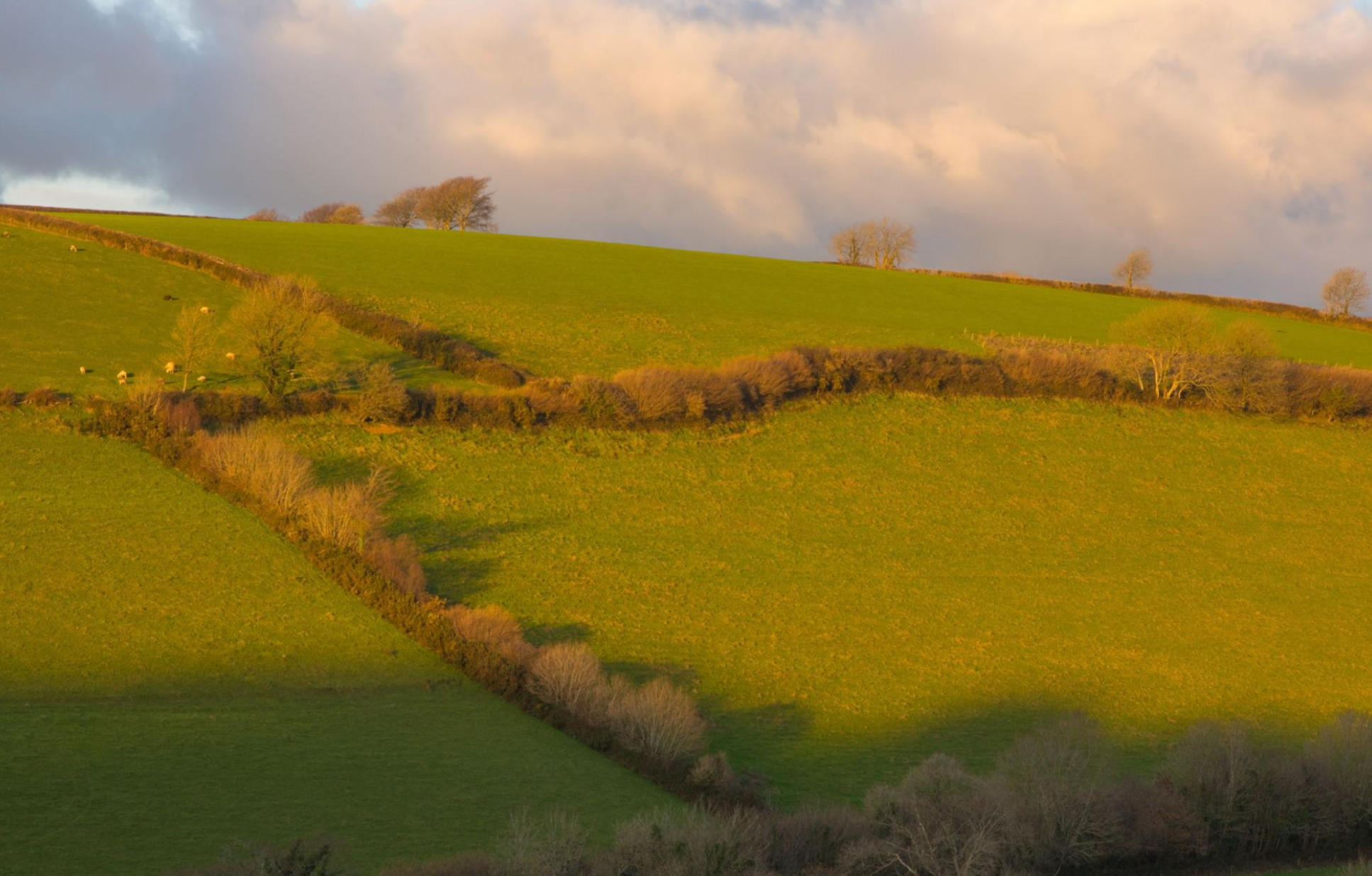 Live In Care in Barnstaple Devon | Care at home in Barnstaple