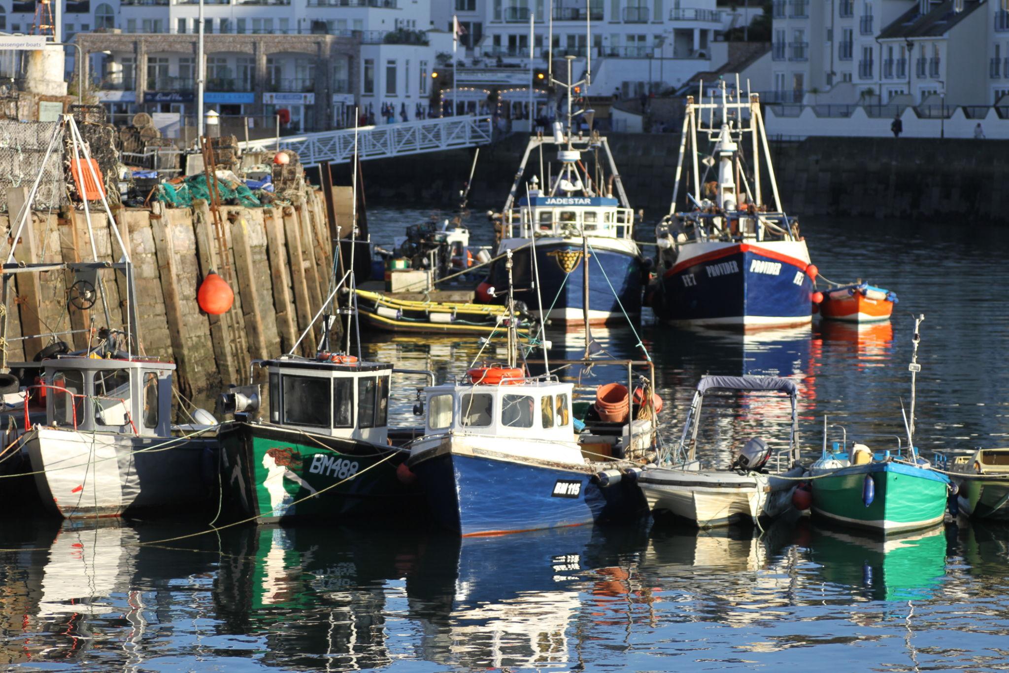 Live In Care in Brixham Devon | Care at home in Brixham