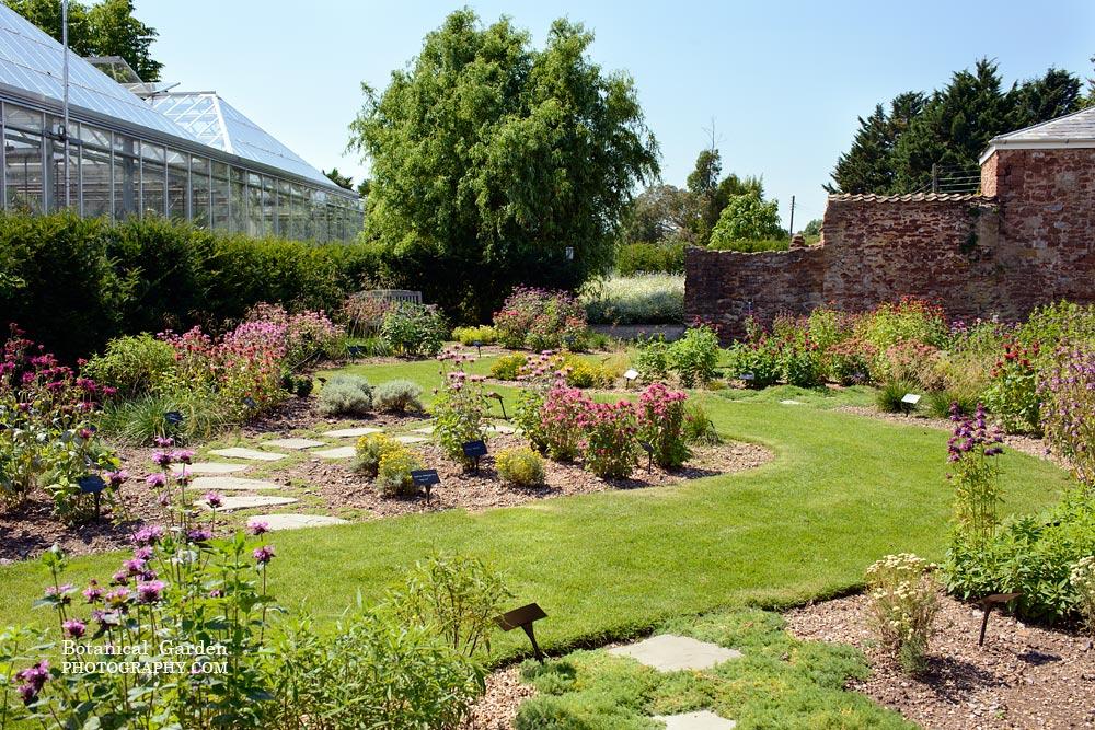 Live In Care in Cannington Somerset | Care at home in Cannington