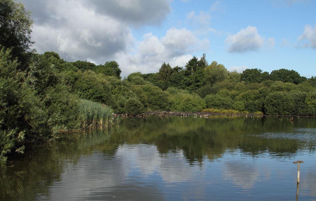 Live In Care in Chard Somerset | Care at home in Chard
