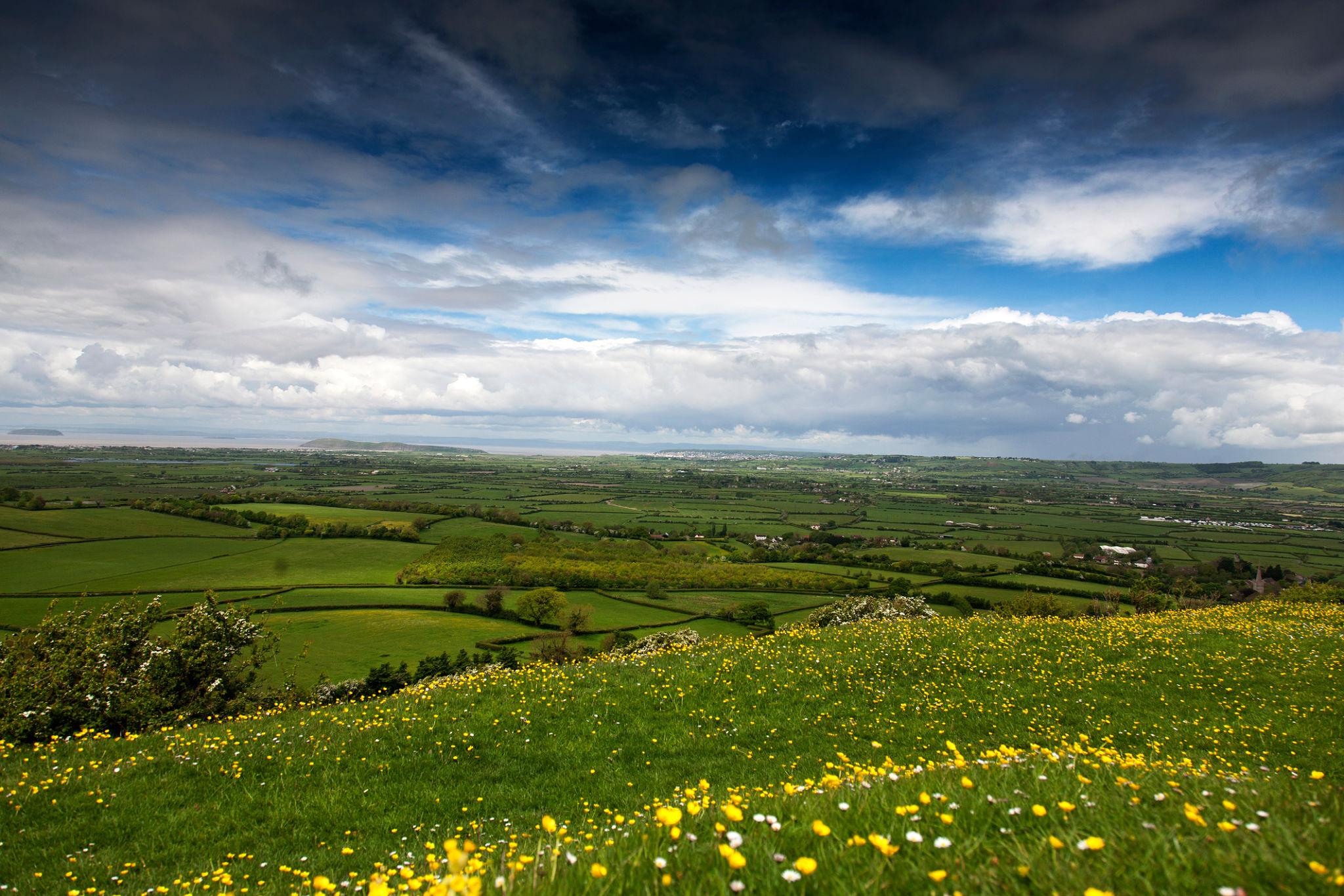 Live In Care in Crewkerne Somerset | Care at home in Crewkerne