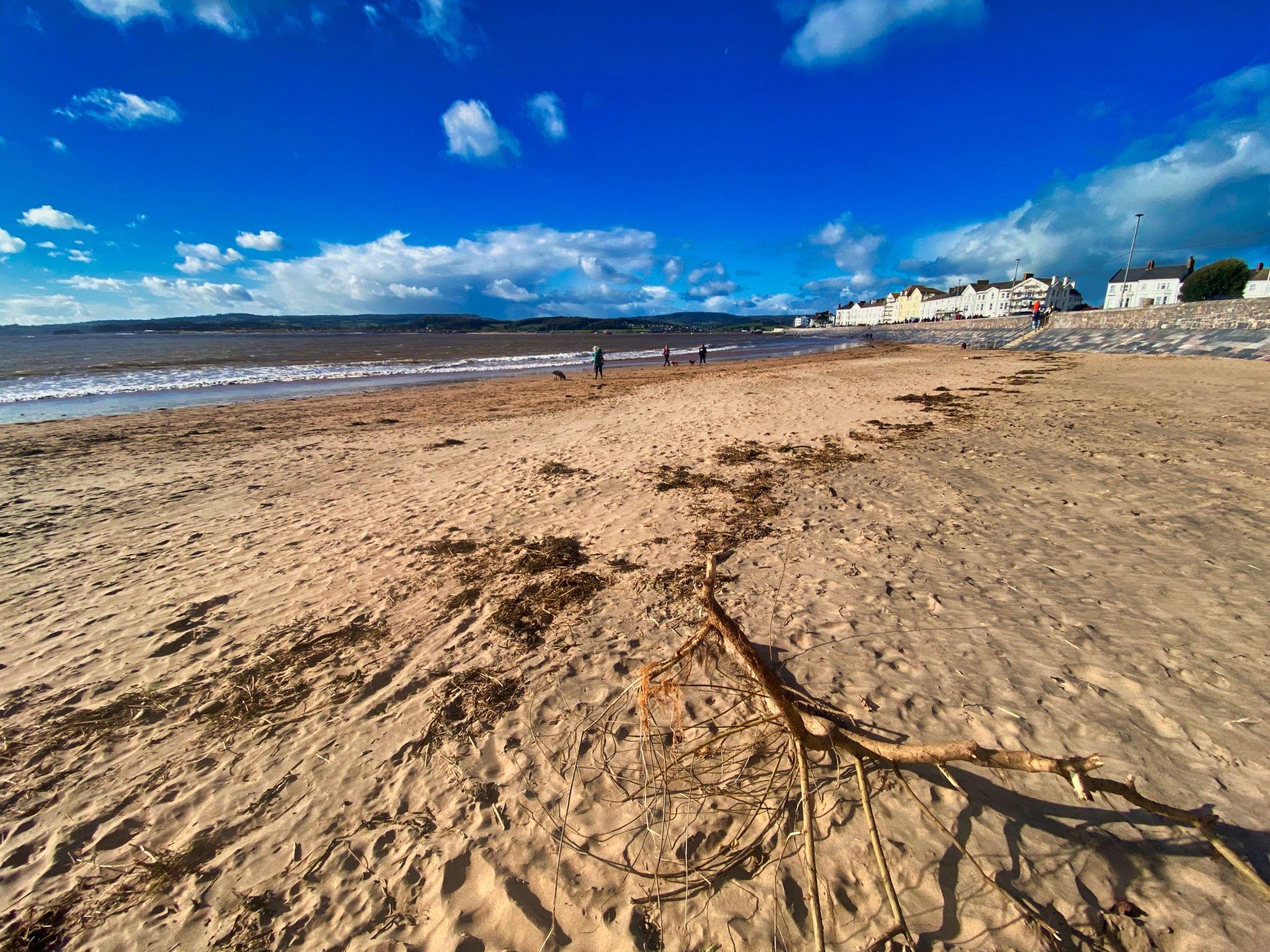 Live In Care in Exmouth Devon | Care at home in Exmouth