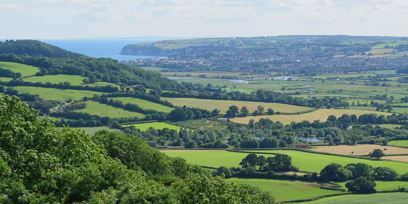 Live In Care in Honiton Devon | Care at home in Honiton