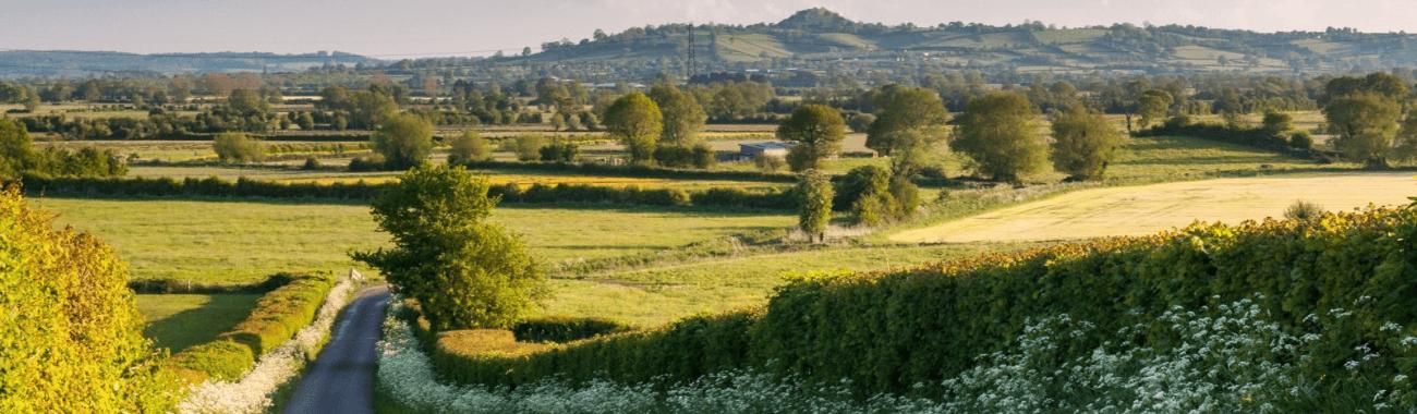 Live In Care in North Petherton Somerset | Care at home in North Petherton
