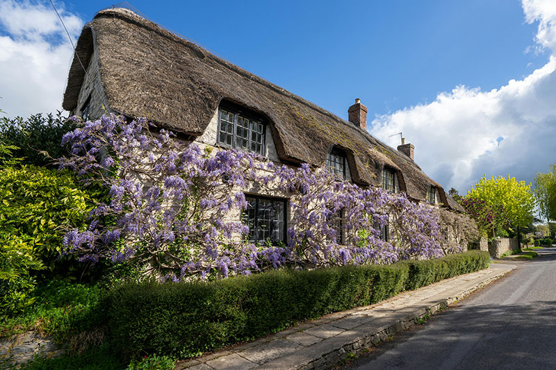 house in Shepton Mallet
