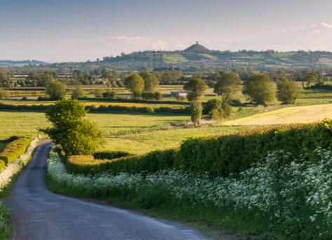 Live In Care in Street Somerset | Care at home in Street