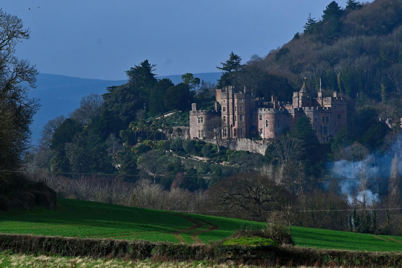 castle in Williton