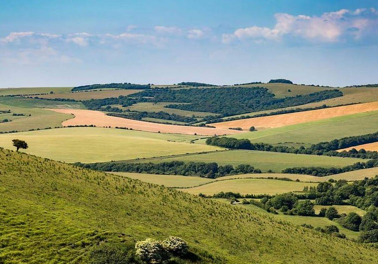 Rolling countryside in the South Downs National Park, Hampshire