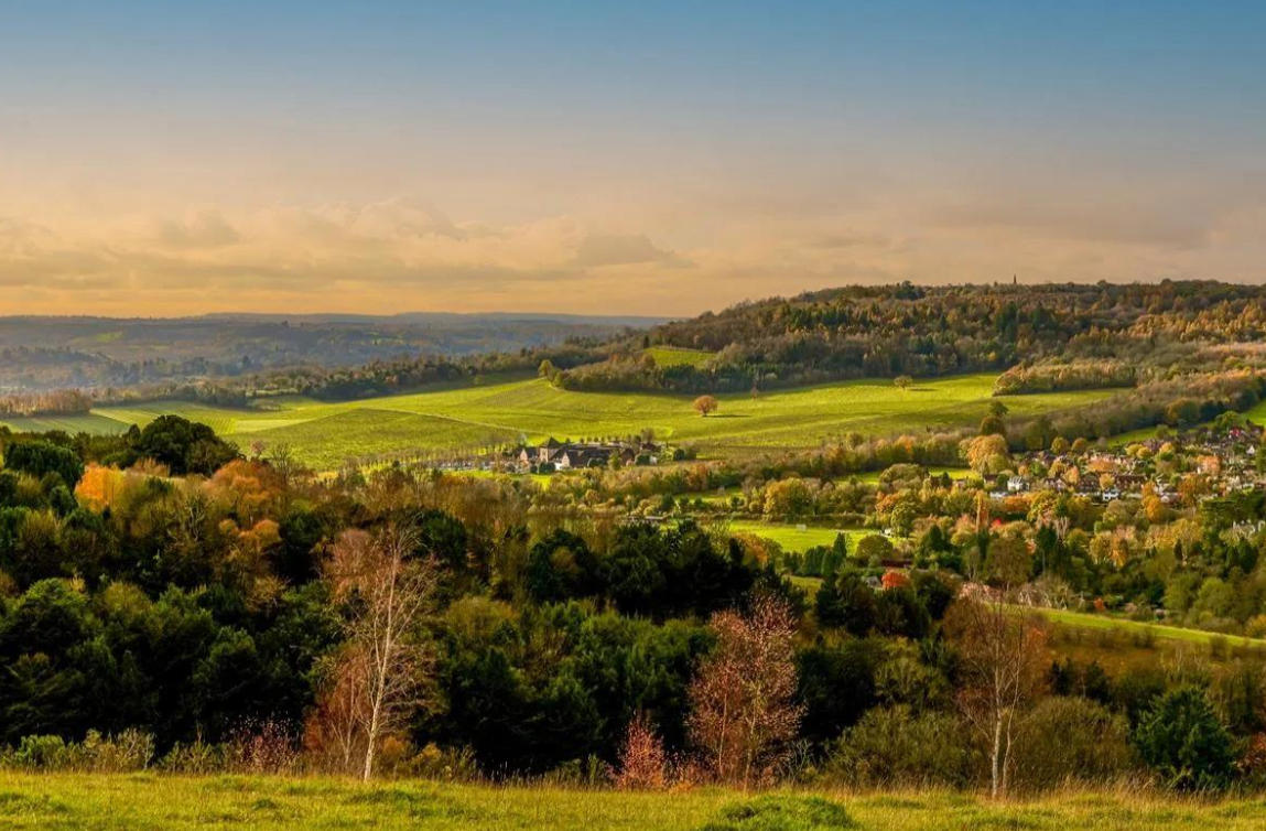 Rolling countryside in the Surrey Hills National Landscape