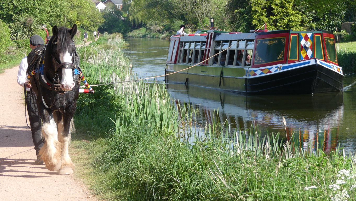 Horse-drawn barge on the Grand Western Canal in Tiverton, Devon