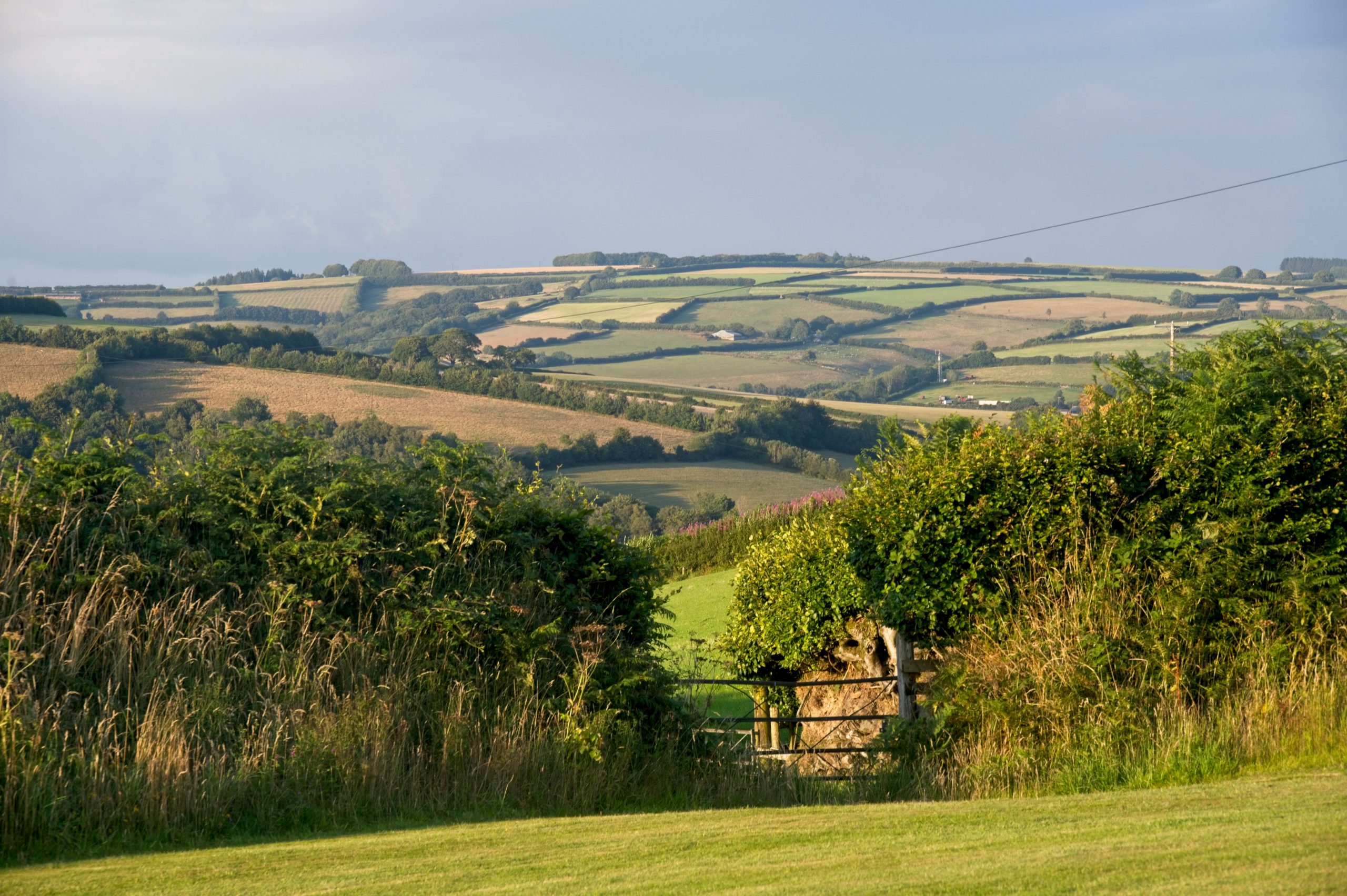 Rolling countryside and farmland surrounding South Molton in North Devon