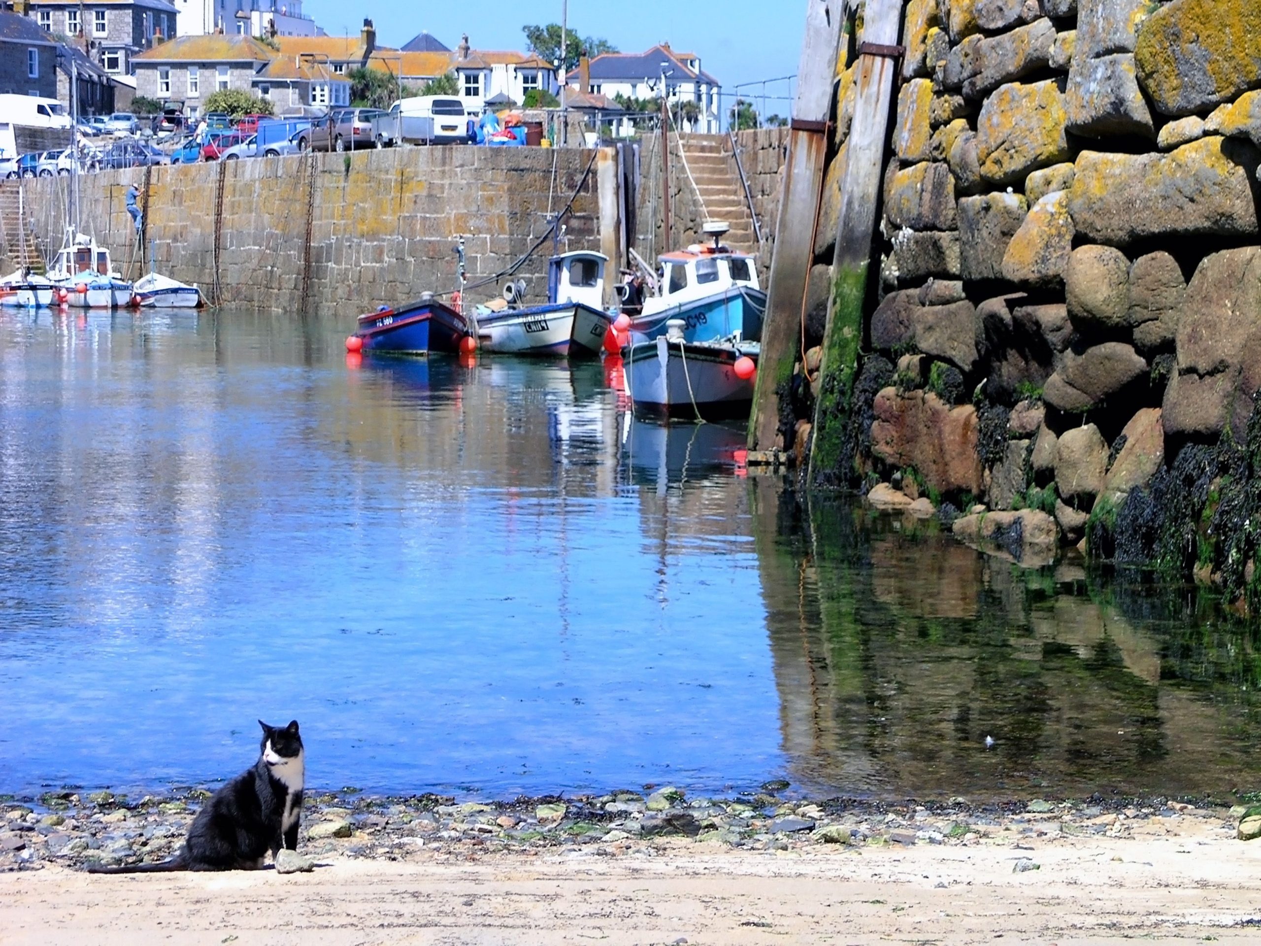 Penzance Harbour in Cornwall, showing traditional fishing boats, historic stone harbour walls and a black-and-white cat on the shoreline.