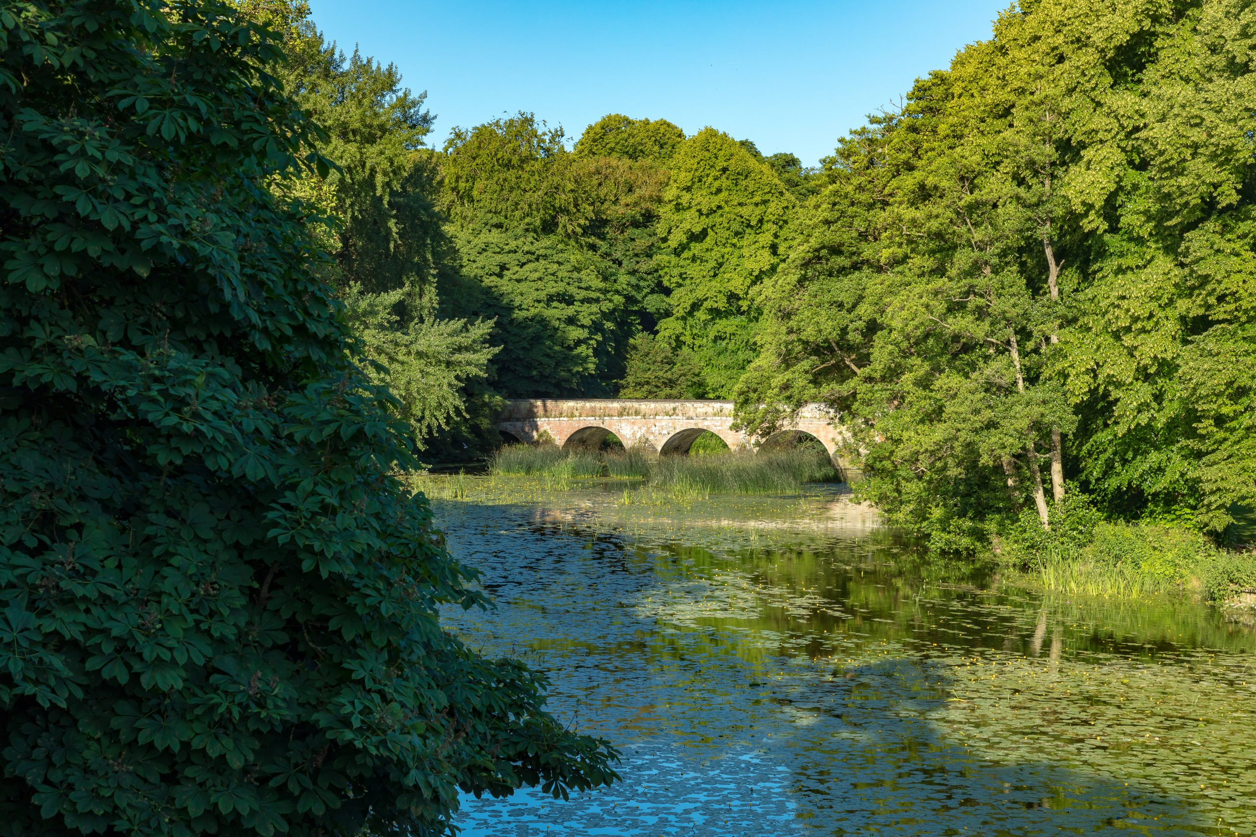 River Stour and historic bridge near Blandford Forum in Dorset