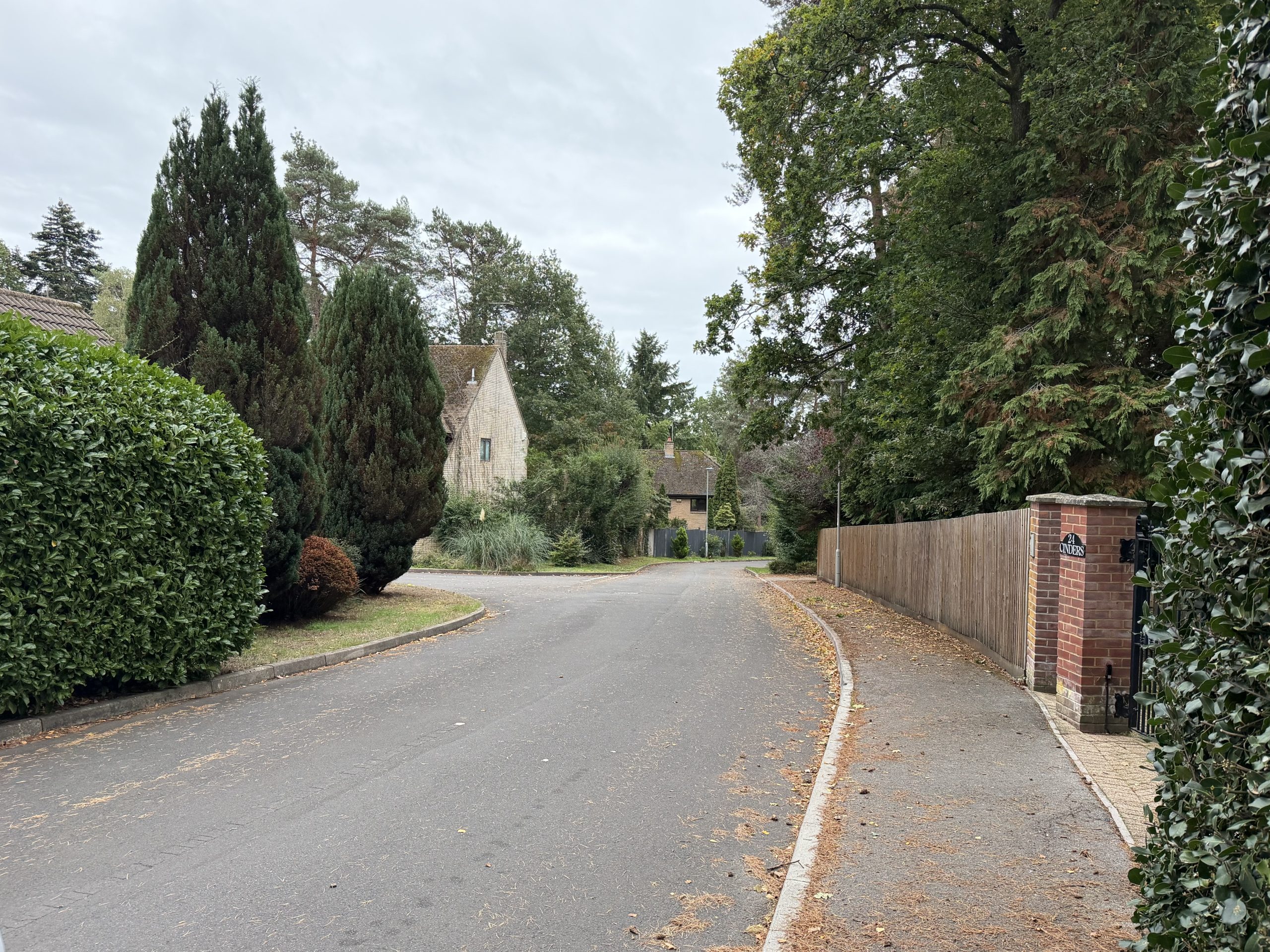Quiet residential road in Ashley Heath, Dorset, lined with mature trees, hedges and detached homes.