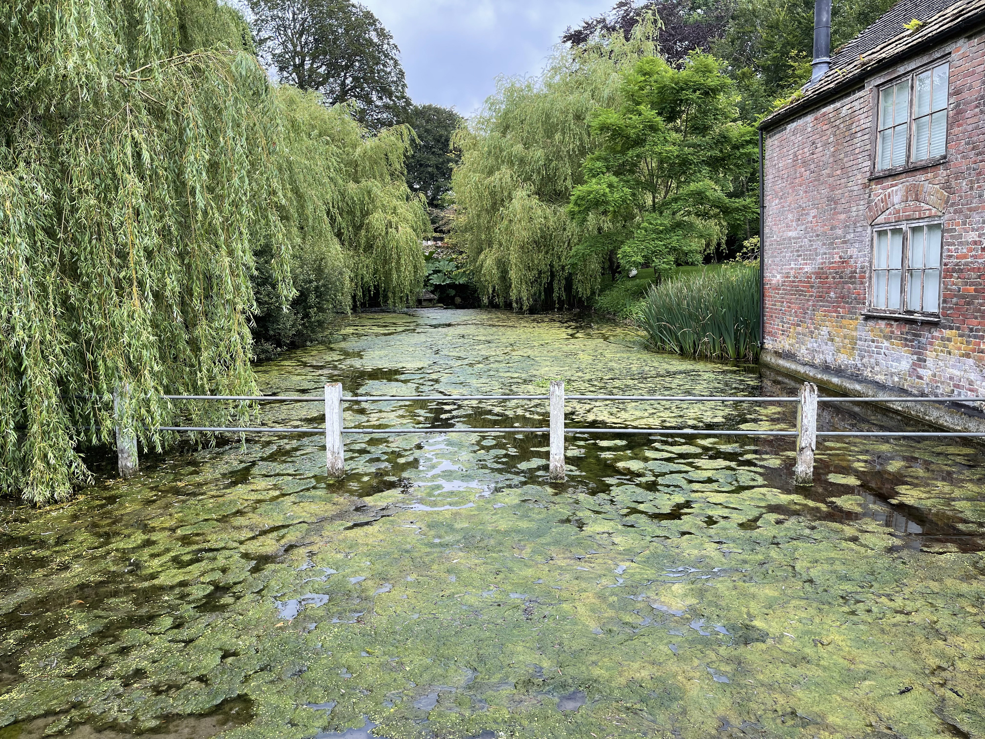 Waterside scene with willow trees and historic building in Cerne Abbas, Dorset