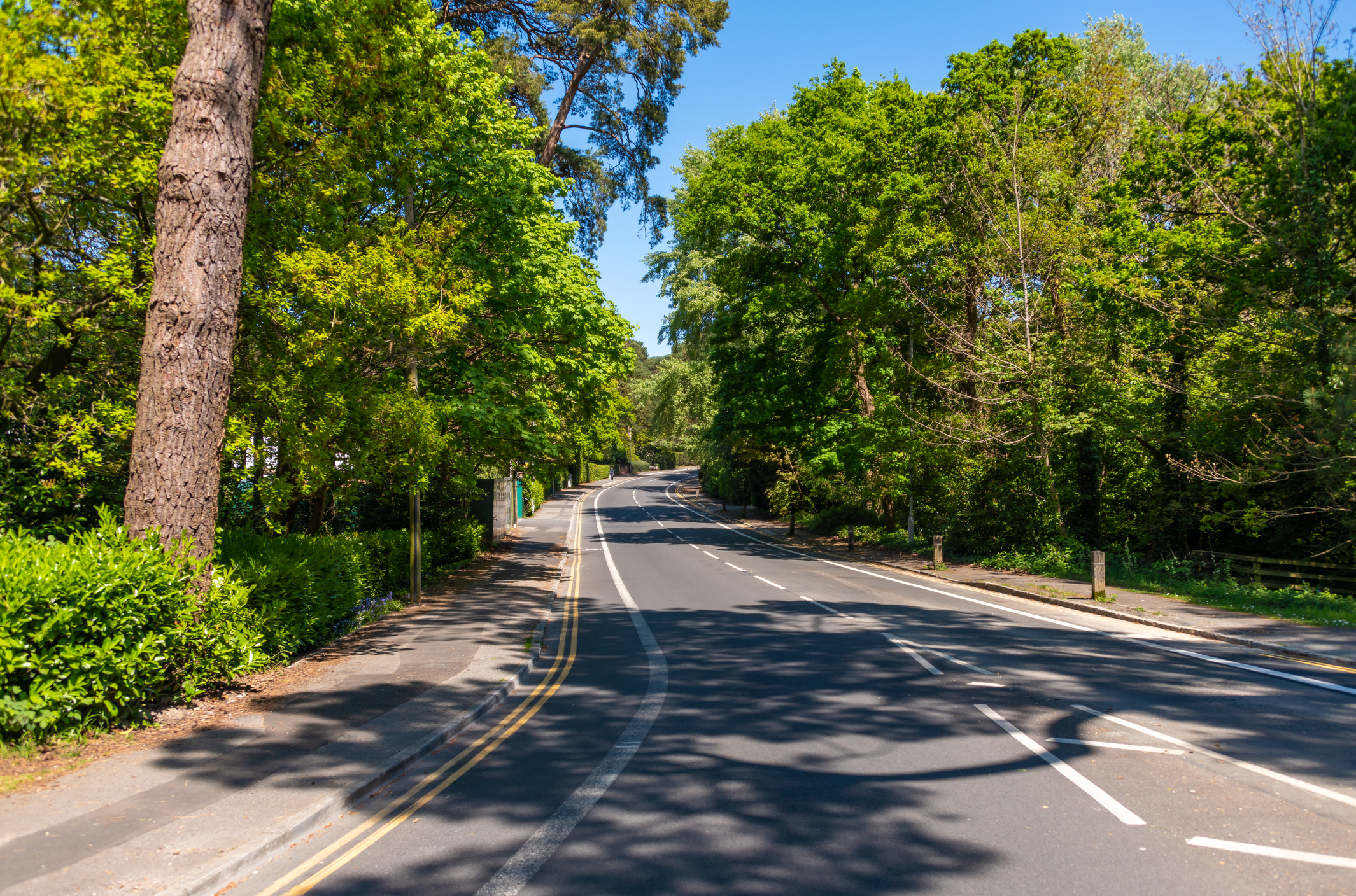 Tree-lined road through Branksome in Dorset