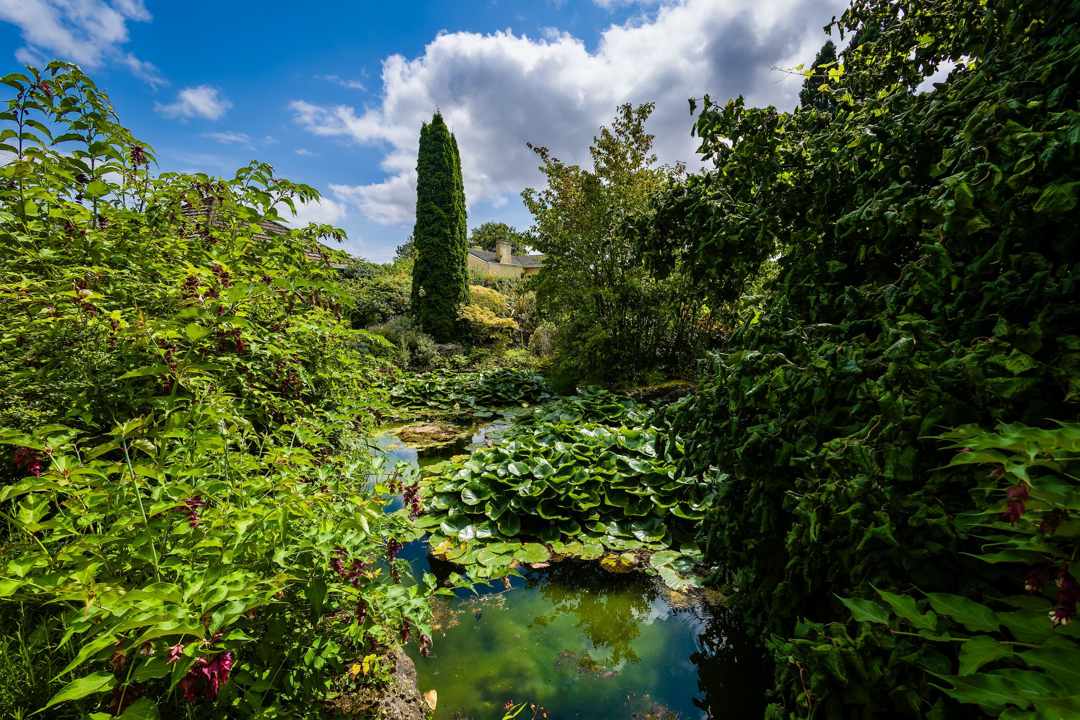 Water garden at Athelhampton near Puddletown in Dorset