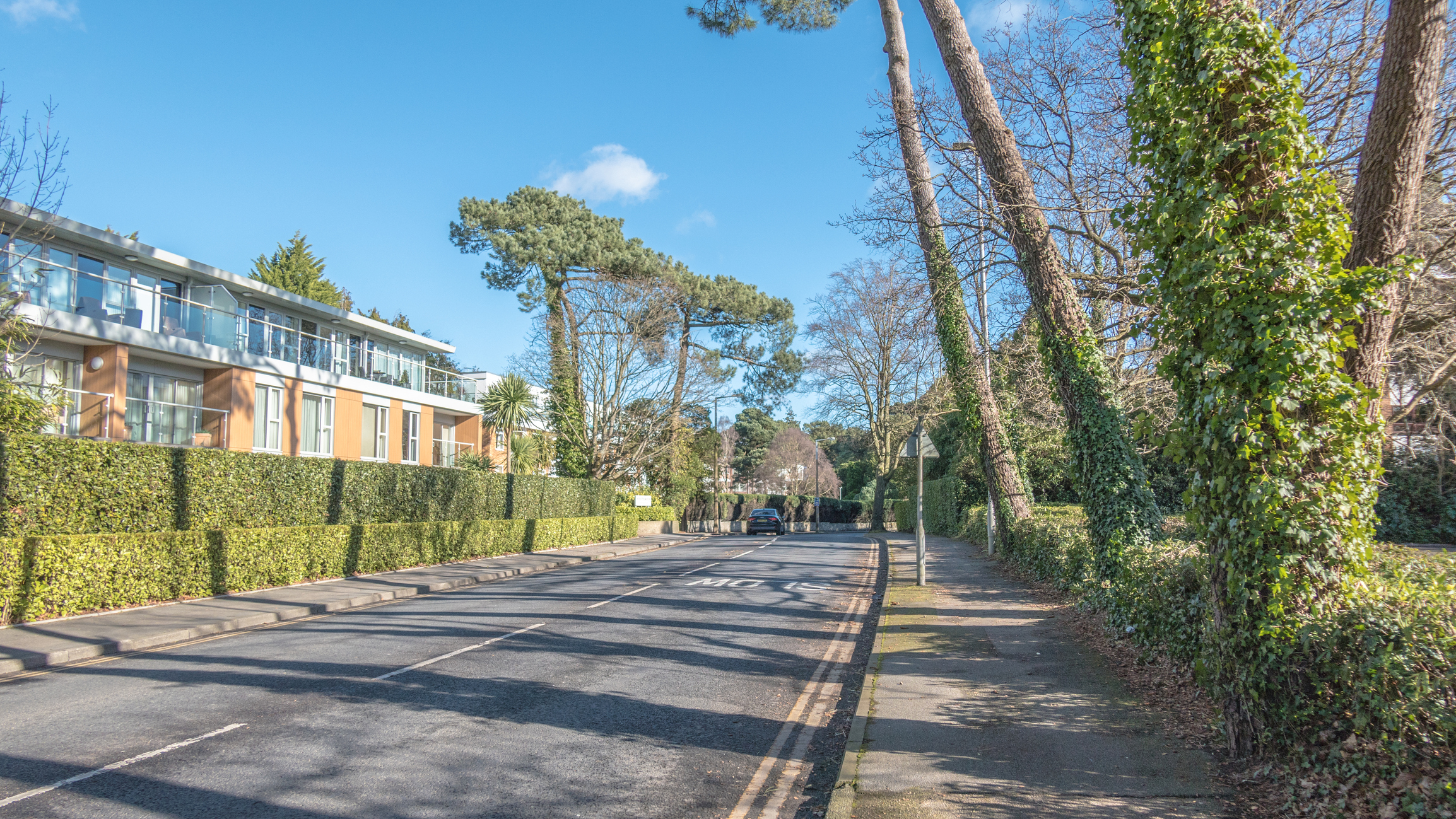 Leafy residential road with homes in Canford Cliffs, Dorset