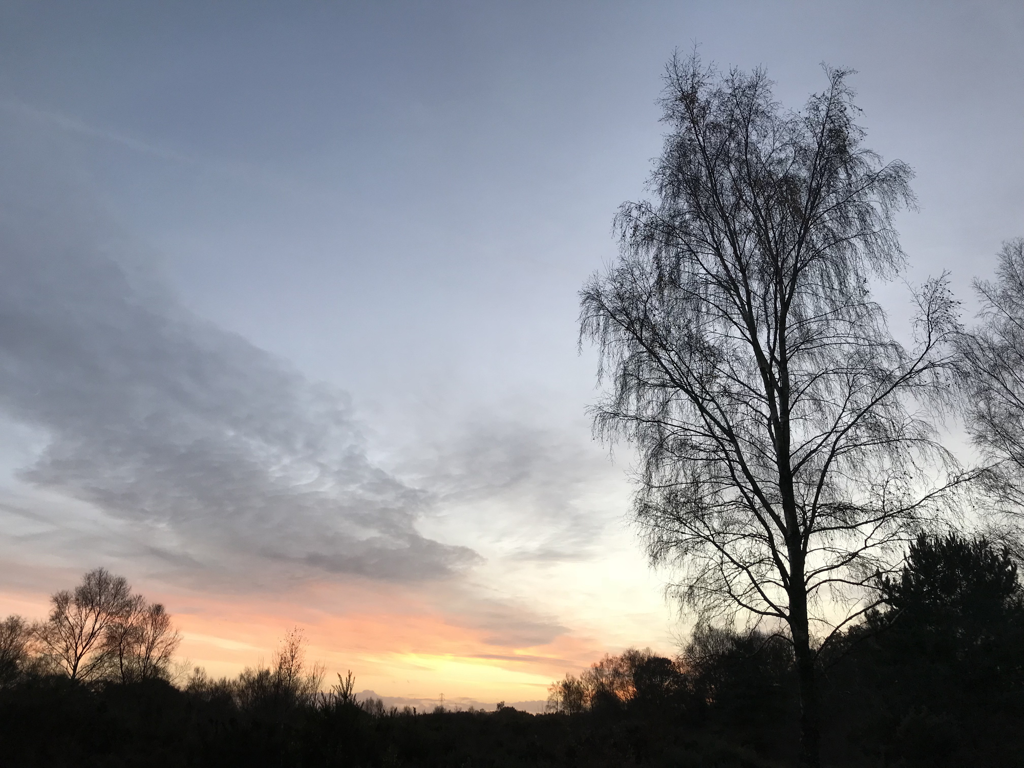 Sunset over the natural landscape in Verwood, Dorset