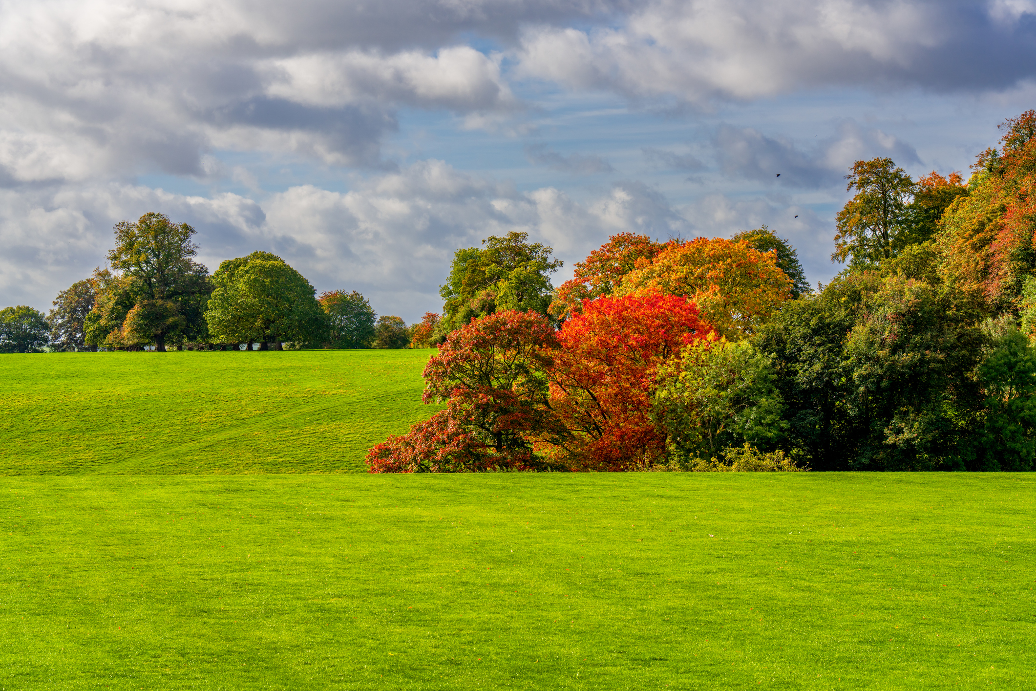 Green parkland and autumn trees at Upton Country Park in Dorset